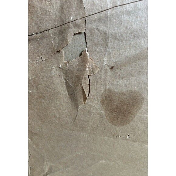 Vintage 1895 Bunny Rabbit Charcoal Crayon Drawing Framed Art Cottage Decor - Picture 8 of 9